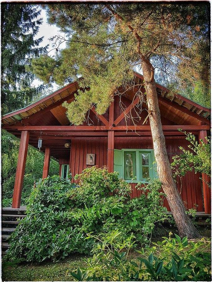 Rosehill Cottage Orbányosfa Екстериор снимка