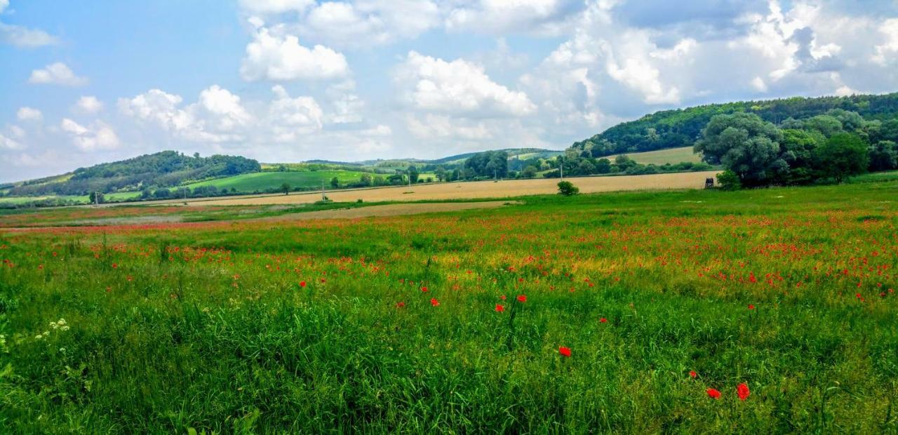 Rosehill Cottage Orbányosfa Екстериор снимка